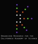 logo_orcas